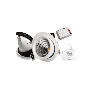 Downlight Basculante Philips Blanco 50W